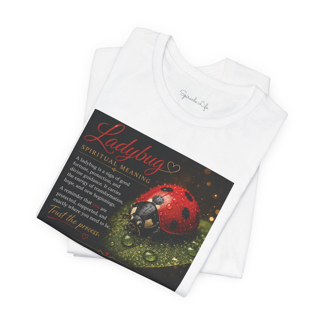 Ladybug Spiritual Meaning Tee — 'Divine Alignment' Inspirational Graphic T-Shirt