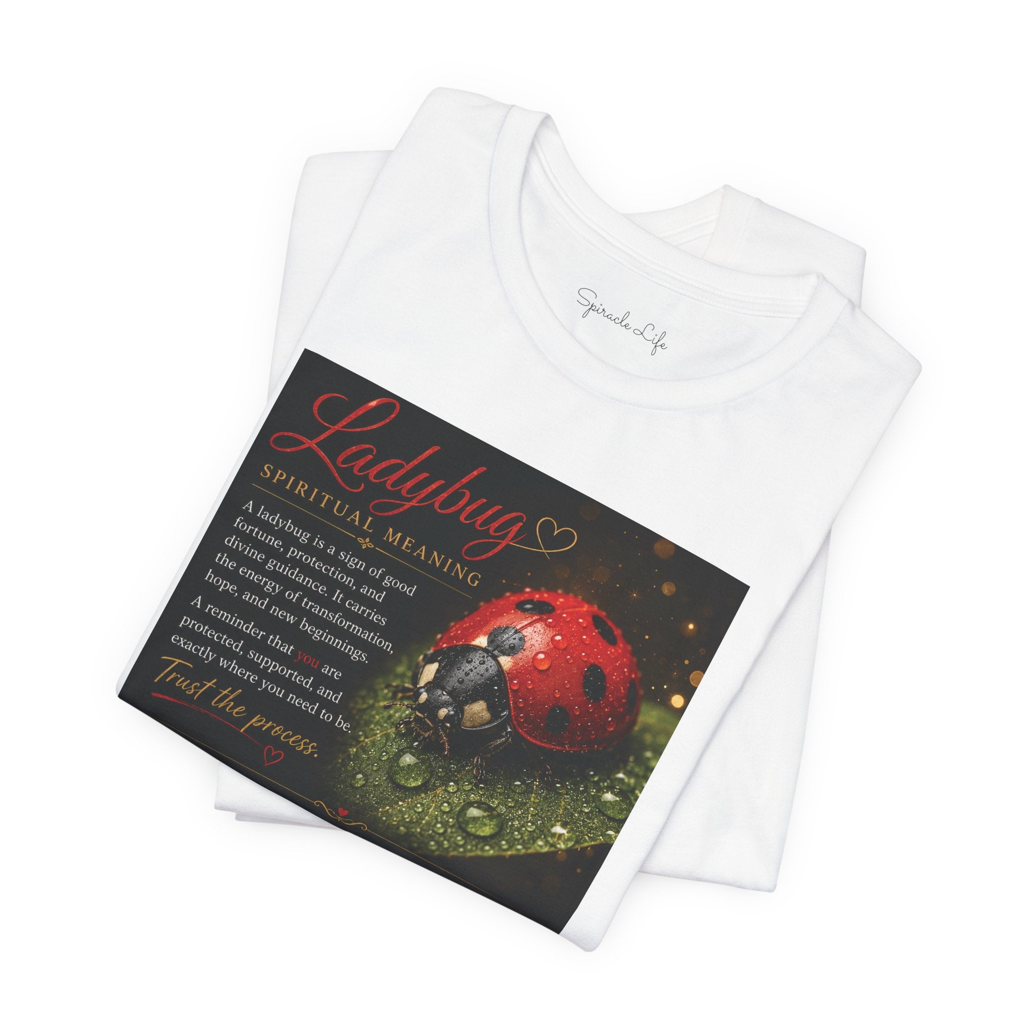 Ladybug Spiritual Meaning Tee — 'Divine Alignment' Inspirational Graphic T-Shirt