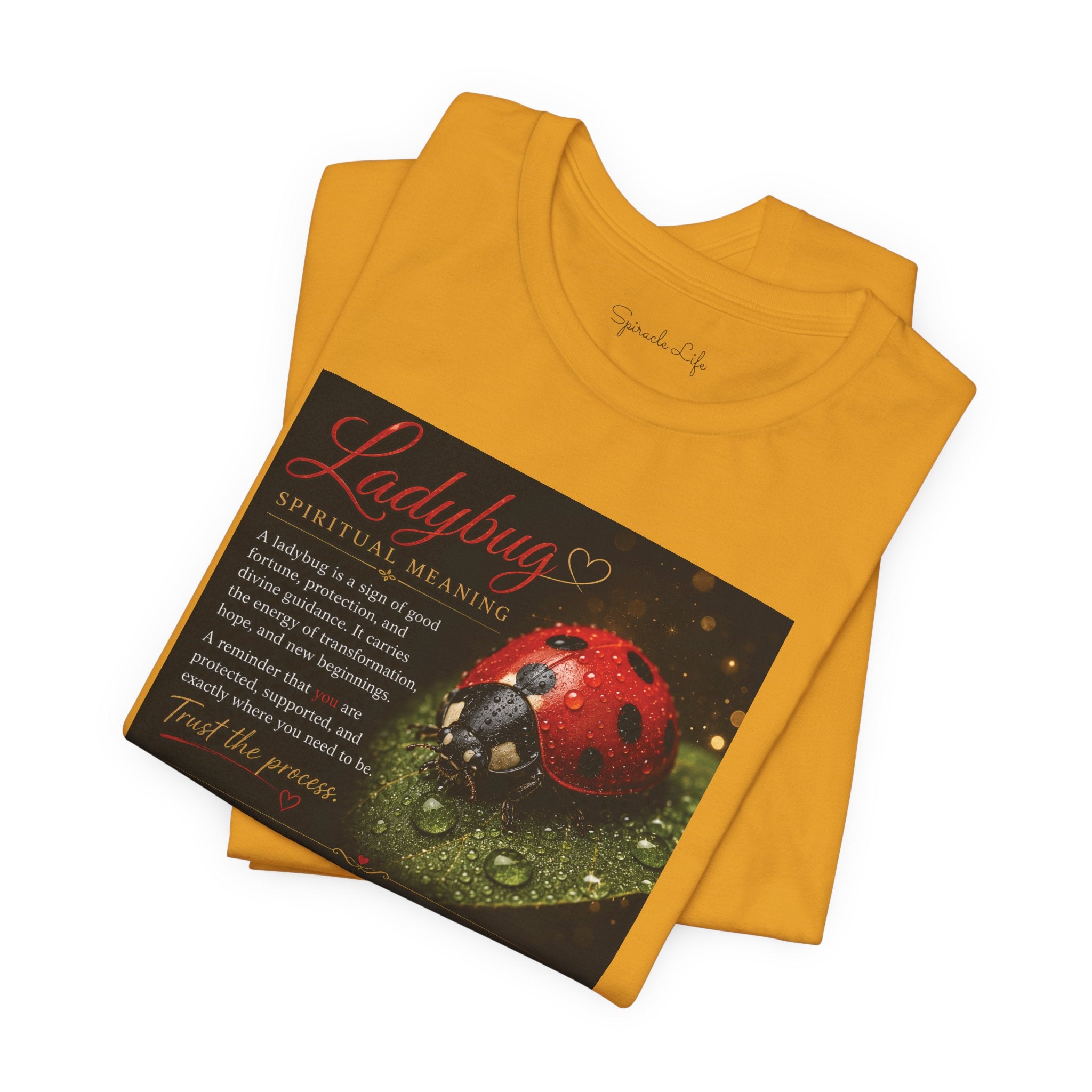 Ladybug Spiritual Meaning Tee — 'Divine Alignment' Inspirational Graphic T-Shirt