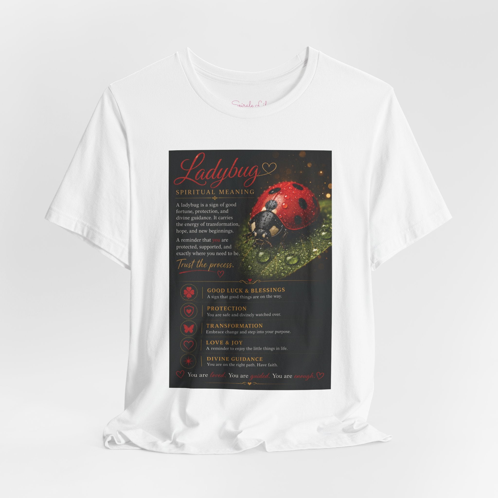 Ladybug Blessing Tee — "Divine Alignment" Inspirational Graphic T‑Shirt