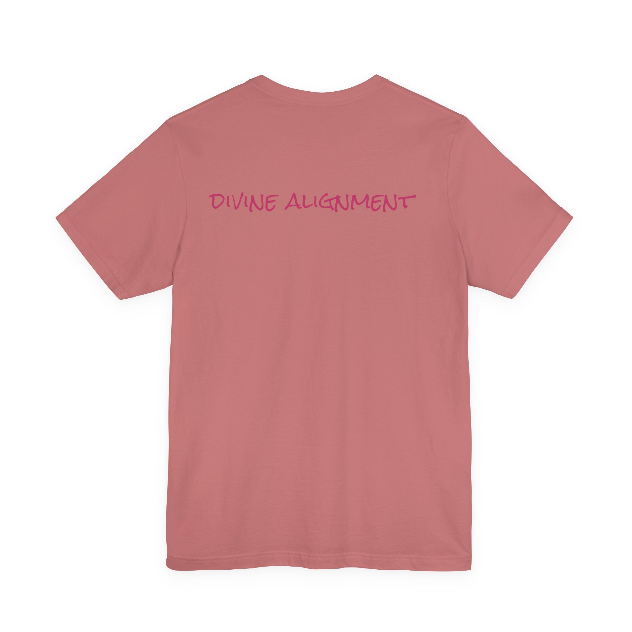 Ladybug Spiritual Meaning Tee — 'Divine Alignment' Inspirational Graphic T-Shirt