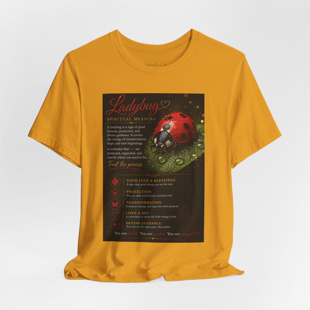 Ladybug Spiritual Meaning Tee — 'Divine Alignment' Inspirational Graphic T-Shirt