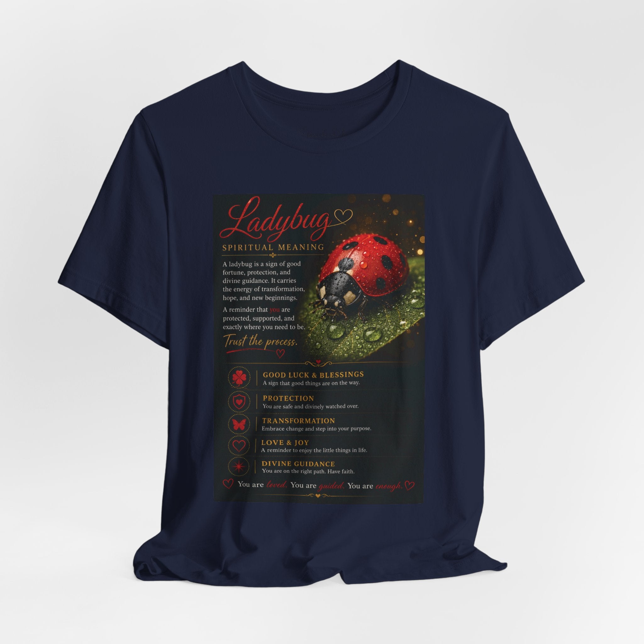 Ladybug Spiritual Meaning Tee — 'Divine Alignment' Inspirational Graphic T-Shirt