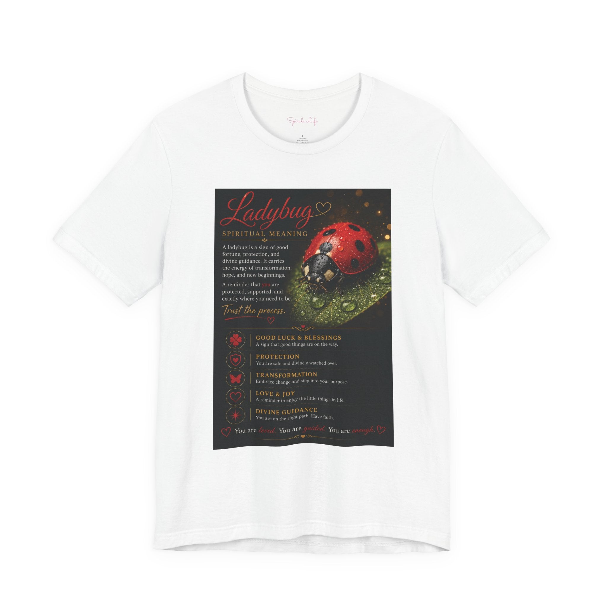 Ladybug Blessing Tee — "Divine Alignment" Inspirational Graphic T‑Shirt