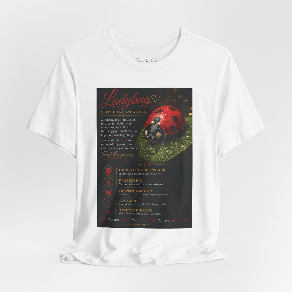Ladybug Spiritual Meaning Tee — 'Divine Alignment' Inspirational Graphic T-Shirt