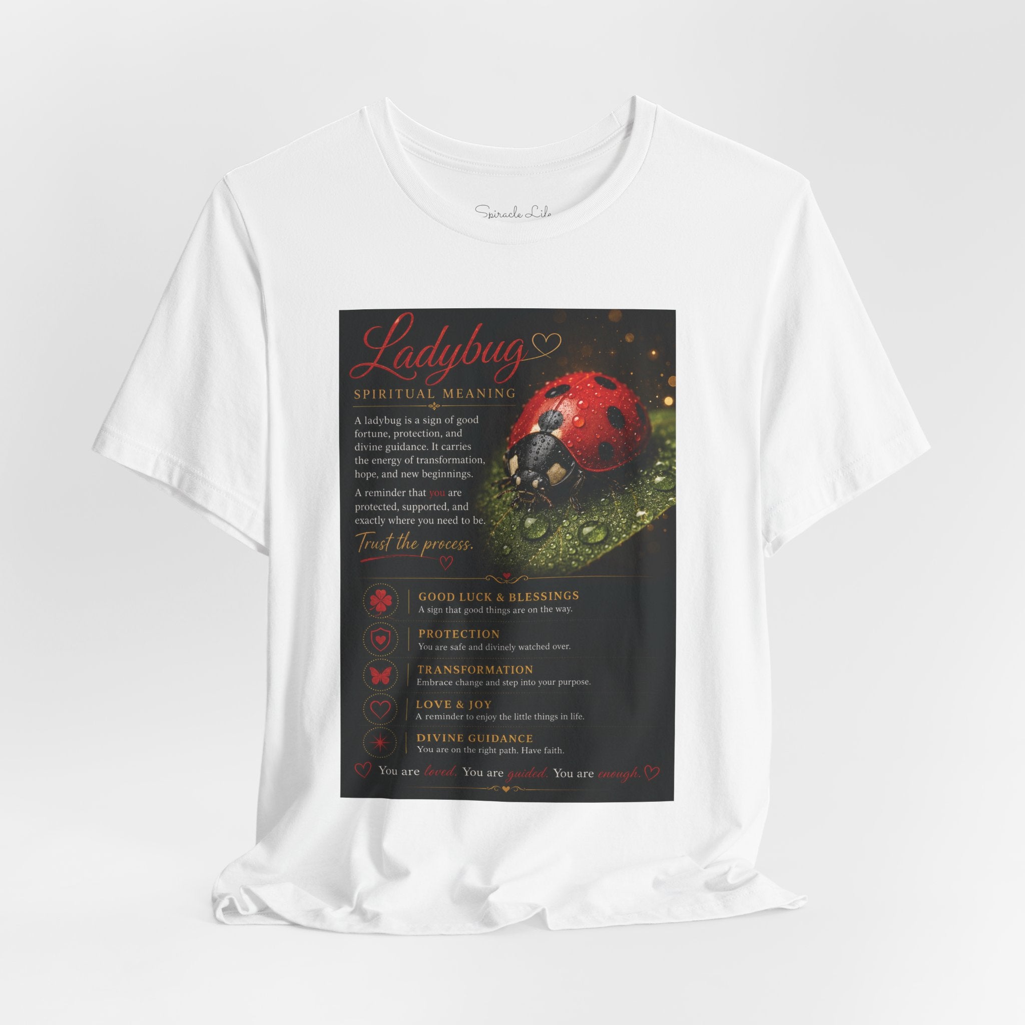 Ladybug Spiritual Meaning Tee — 'Divine Alignment' Inspirational Graphic T-Shirt