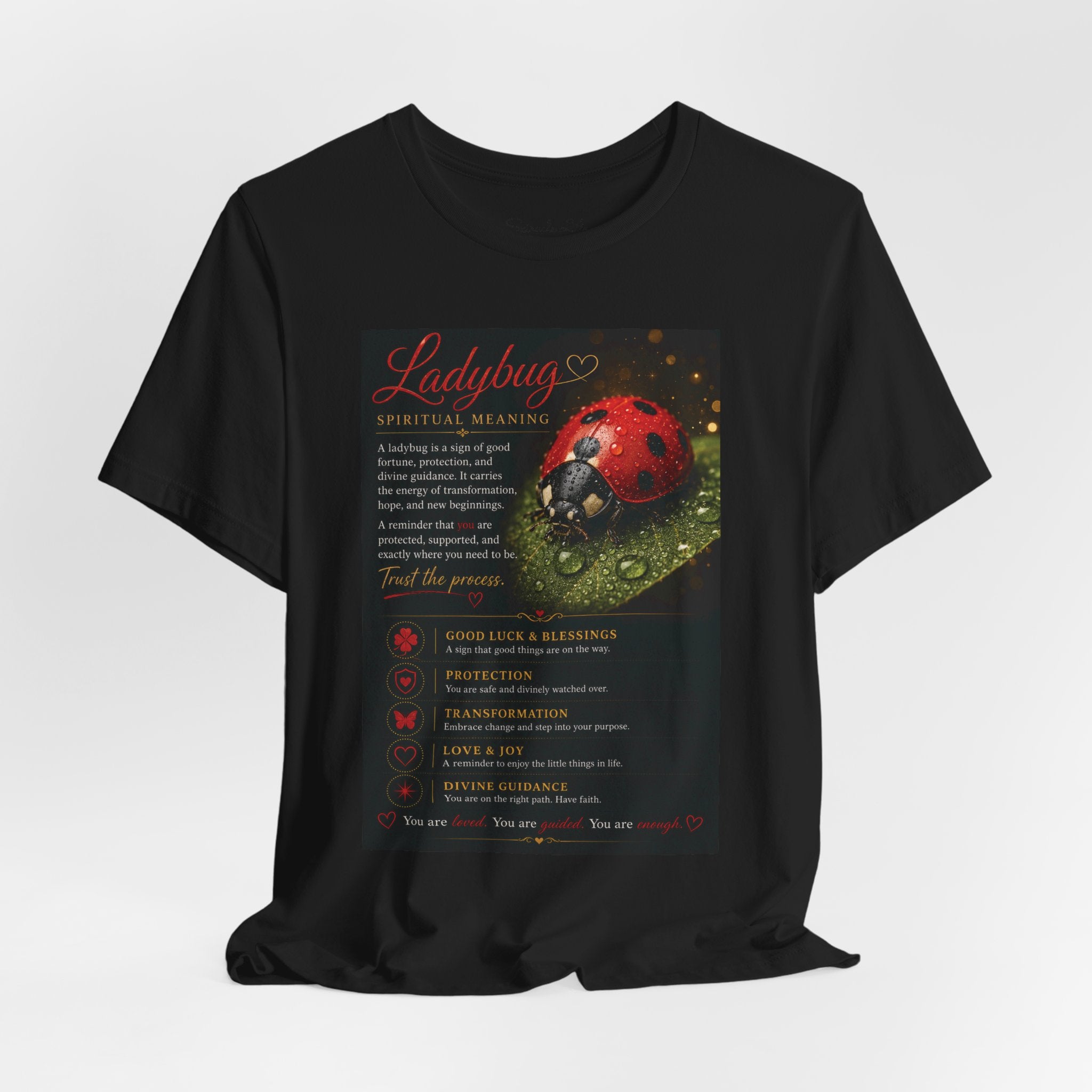 Ladybug Spiritual Meaning Tee — 'Divine Alignment' Inspirational Graphic T-Shirt