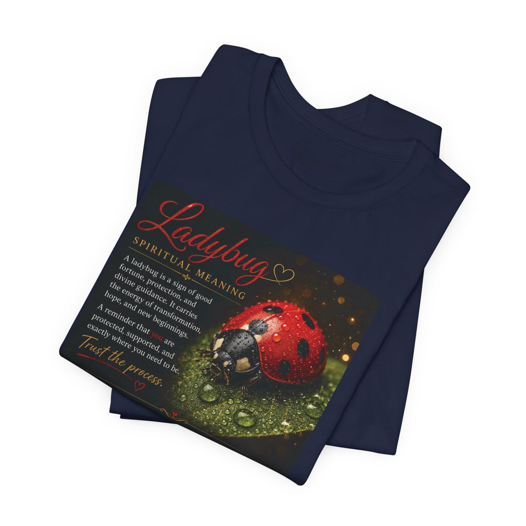 Ladybug Spiritual Meaning Tee — 'Divine Alignment' Inspirational Graphic T-Shirt