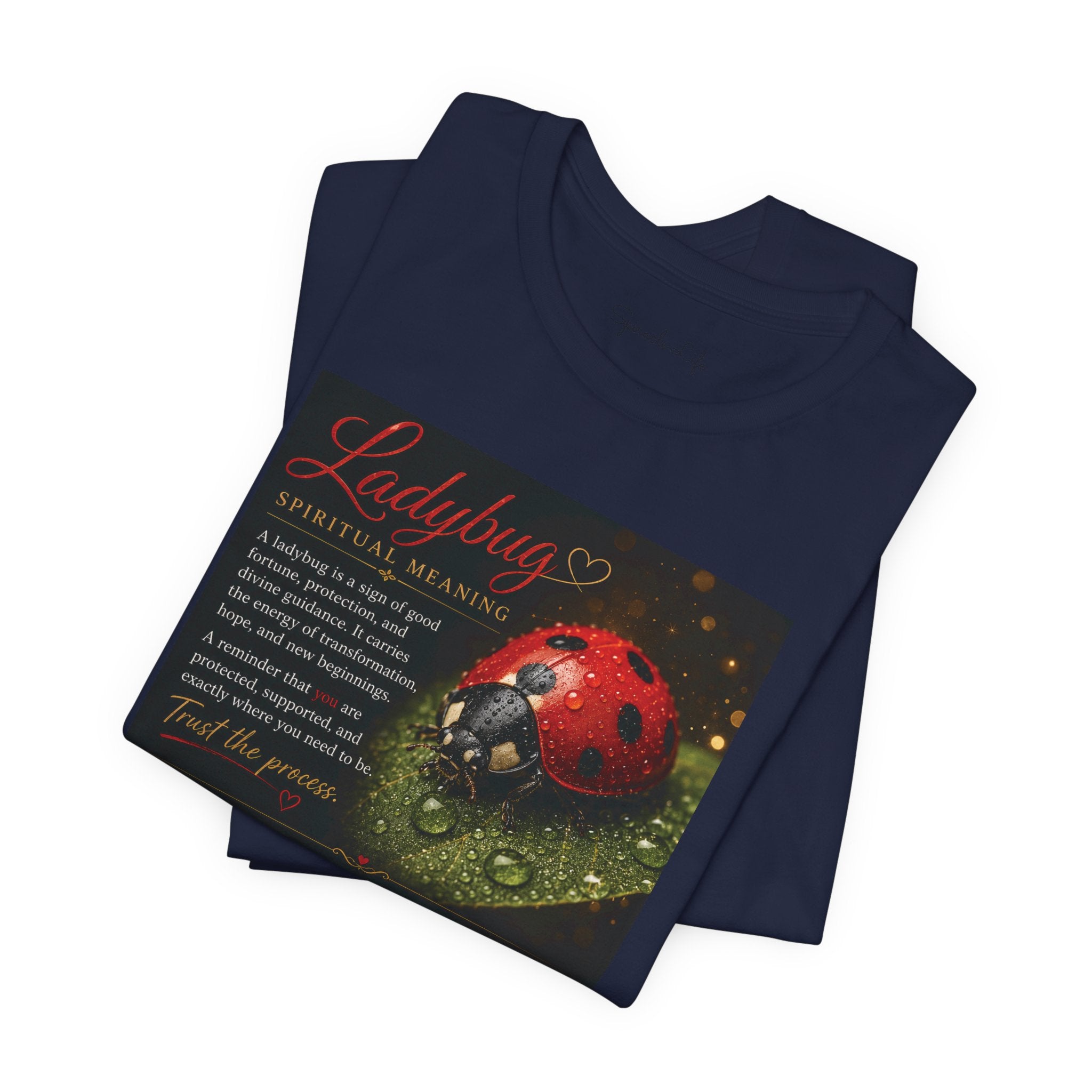 Ladybug Spiritual Meaning Tee — 'Divine Alignment' Inspirational Graphic T-Shirt