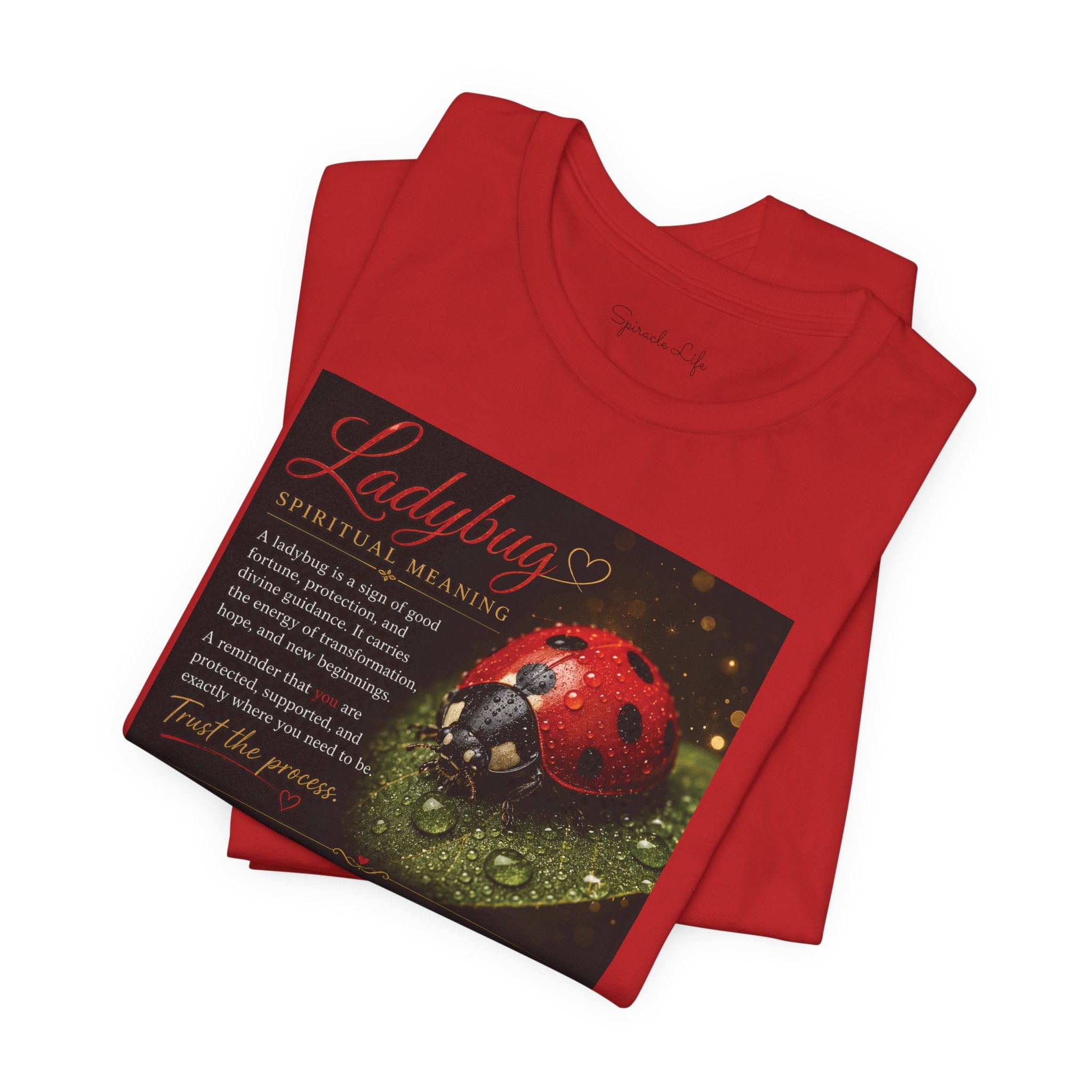 Ladybug Spiritual Meaning Tee — 'Divine Alignment' Inspirational Graphic T-Shirt