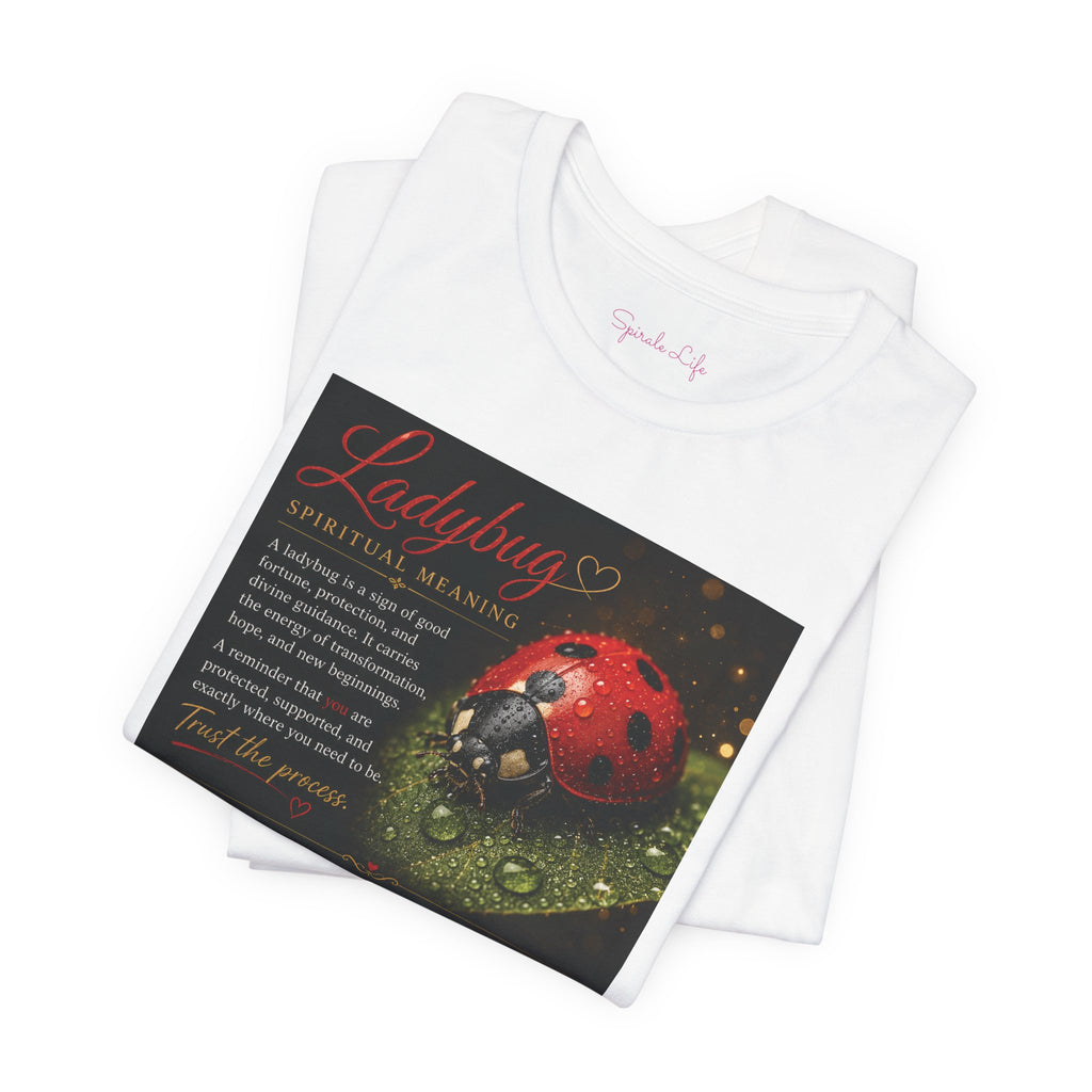 Ladybug Blessing Tee — "Divine Alignment" Inspirational Graphic T‑Shirt
