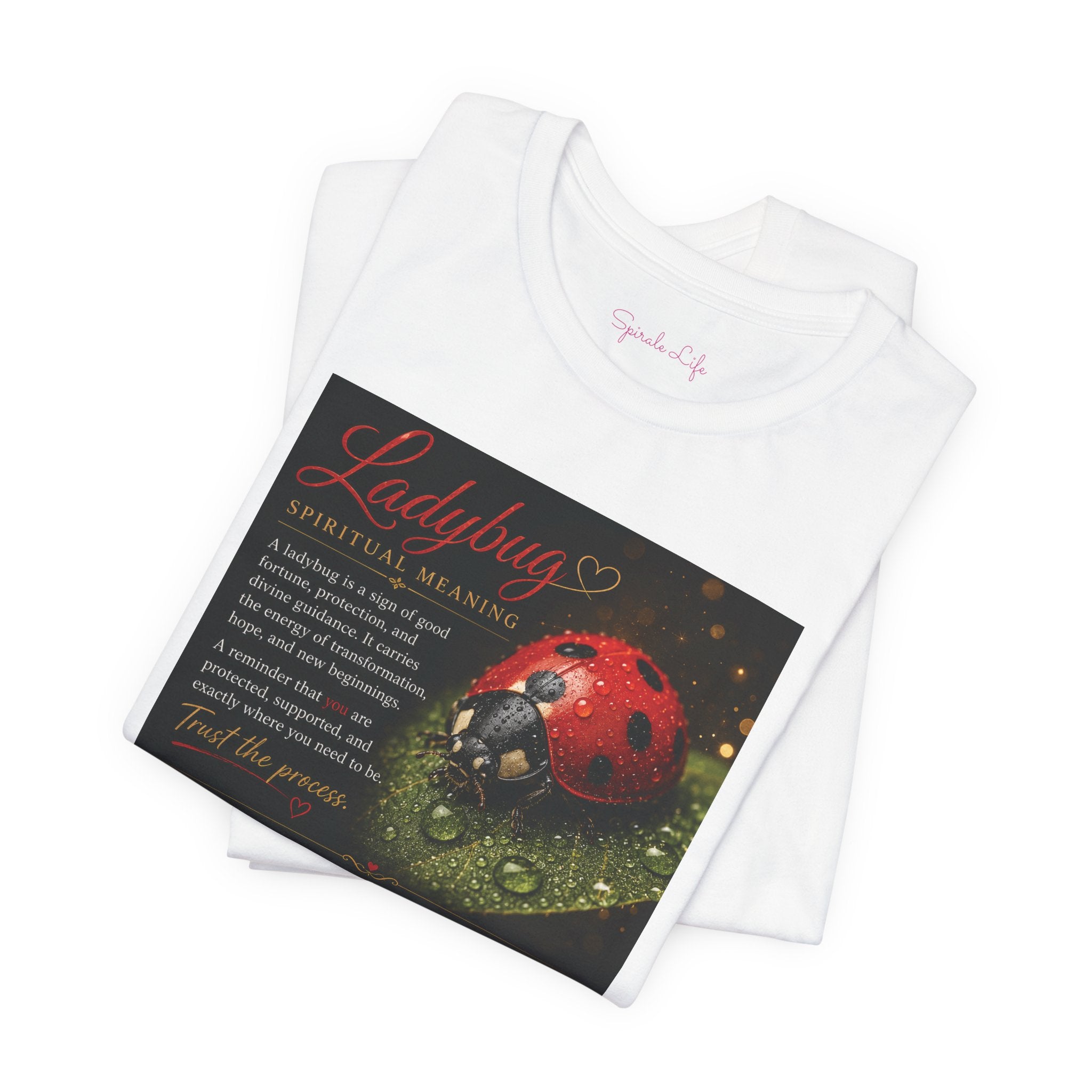 Ladybug Blessing Tee — "Divine Alignment" Inspirational Graphic T‑Shirt
