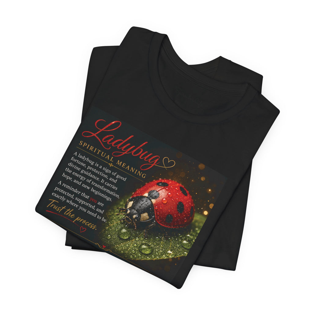 Ladybug Spiritual Meaning Tee — 'Divine Alignment' Inspirational Graphic T-Shirt