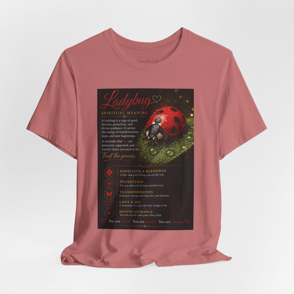Ladybug Spiritual Meaning Tee — 'Divine Alignment' Inspirational Graphic T-Shirt
