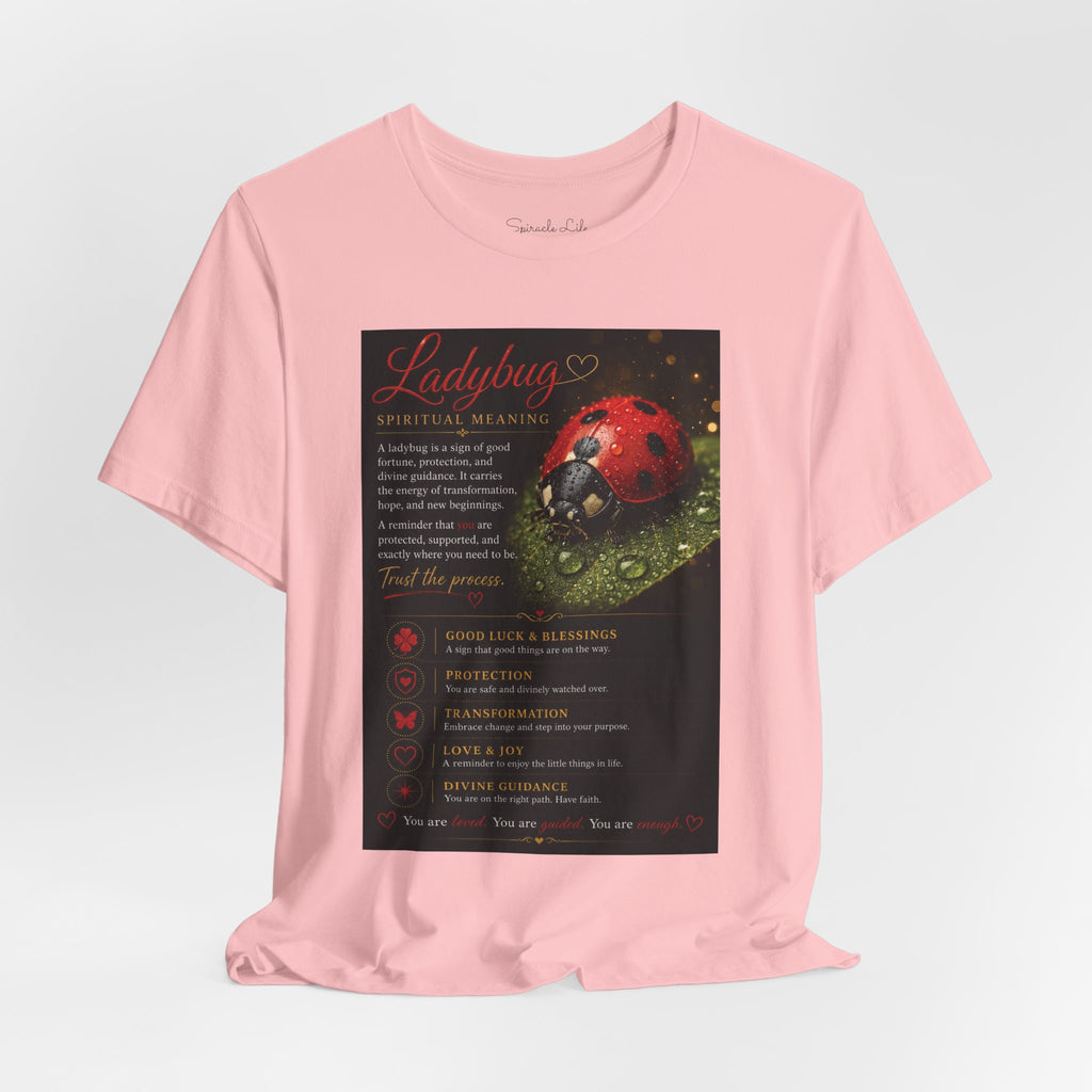 Ladybug Spiritual Meaning Tee — 'Divine Alignment' Inspirational Graphic T-Shirt