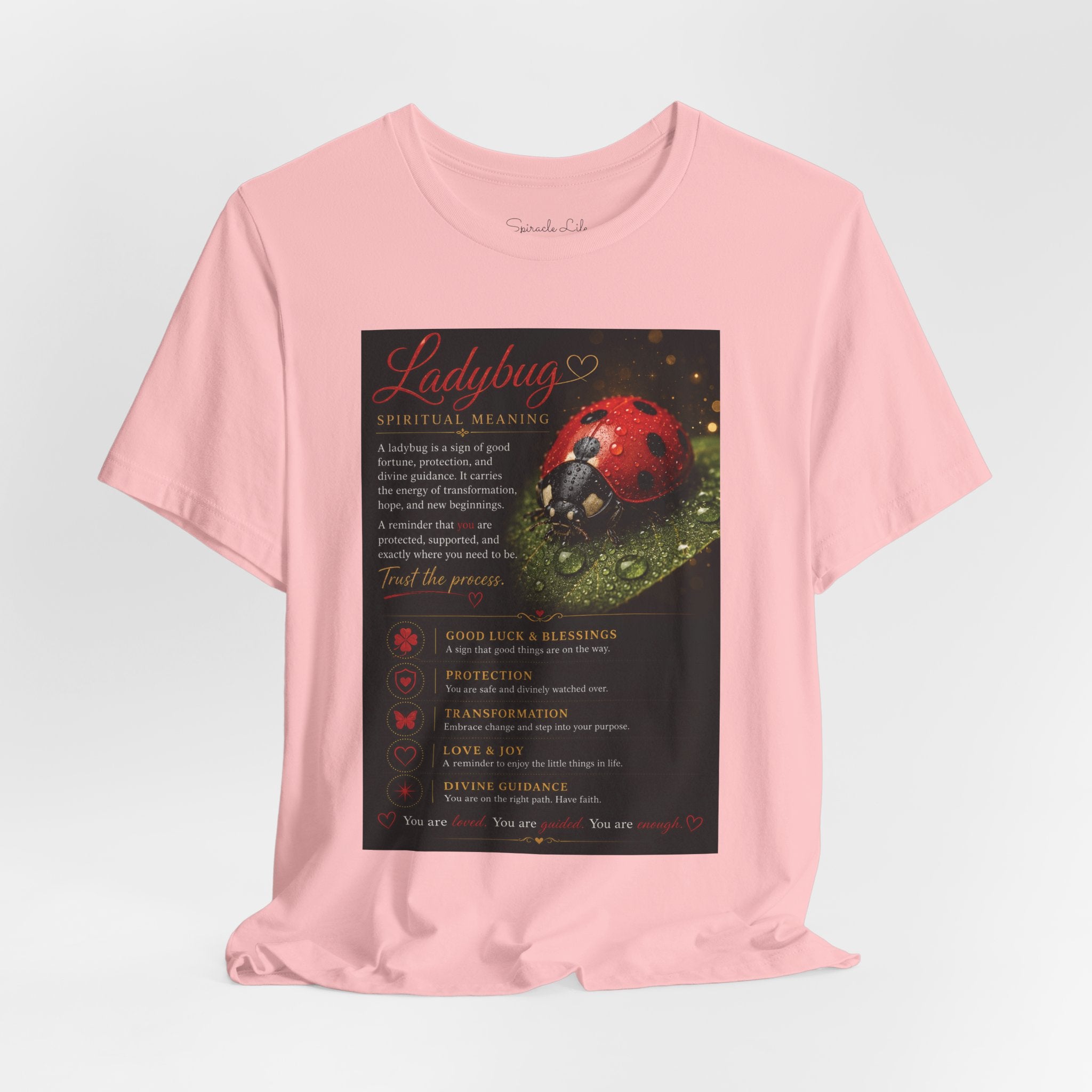 Ladybug Spiritual Meaning Tee — 'Divine Alignment' Inspirational Graphic T-Shirt