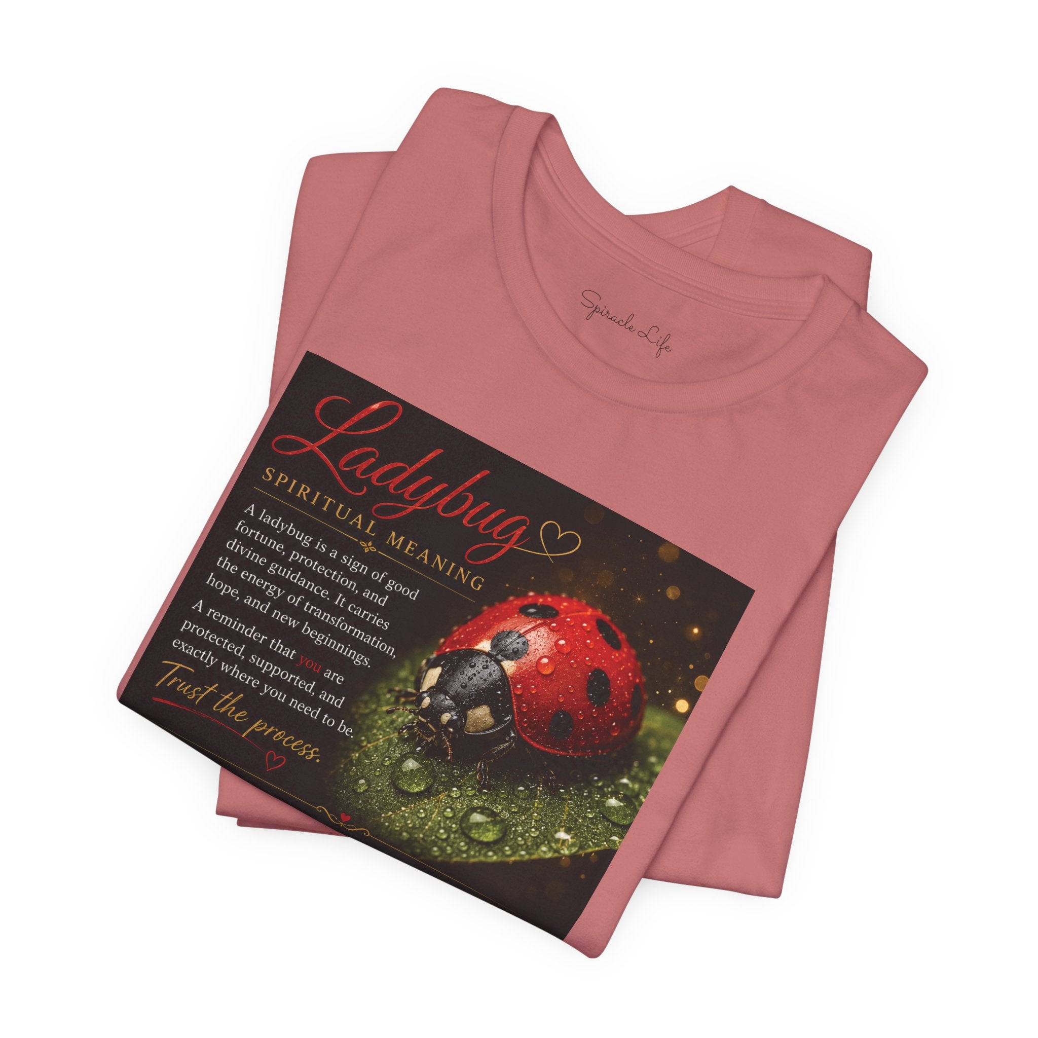 Ladybug Spiritual Meaning Tee — 'Divine Alignment' Inspirational Graphic T-Shirt