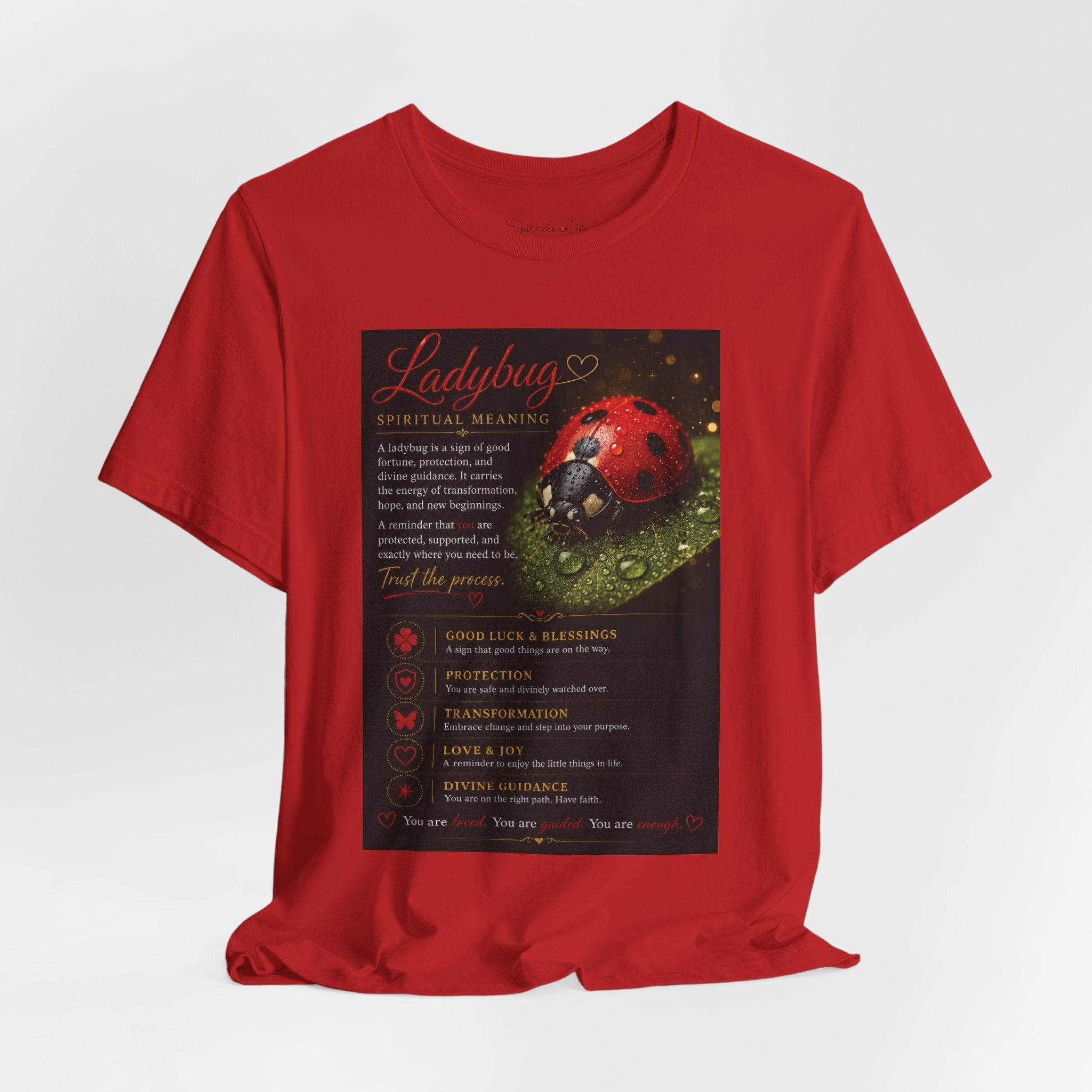 Ladybug Spiritual Meaning Tee — 'Divine Alignment' Inspirational Graphic T-Shirt