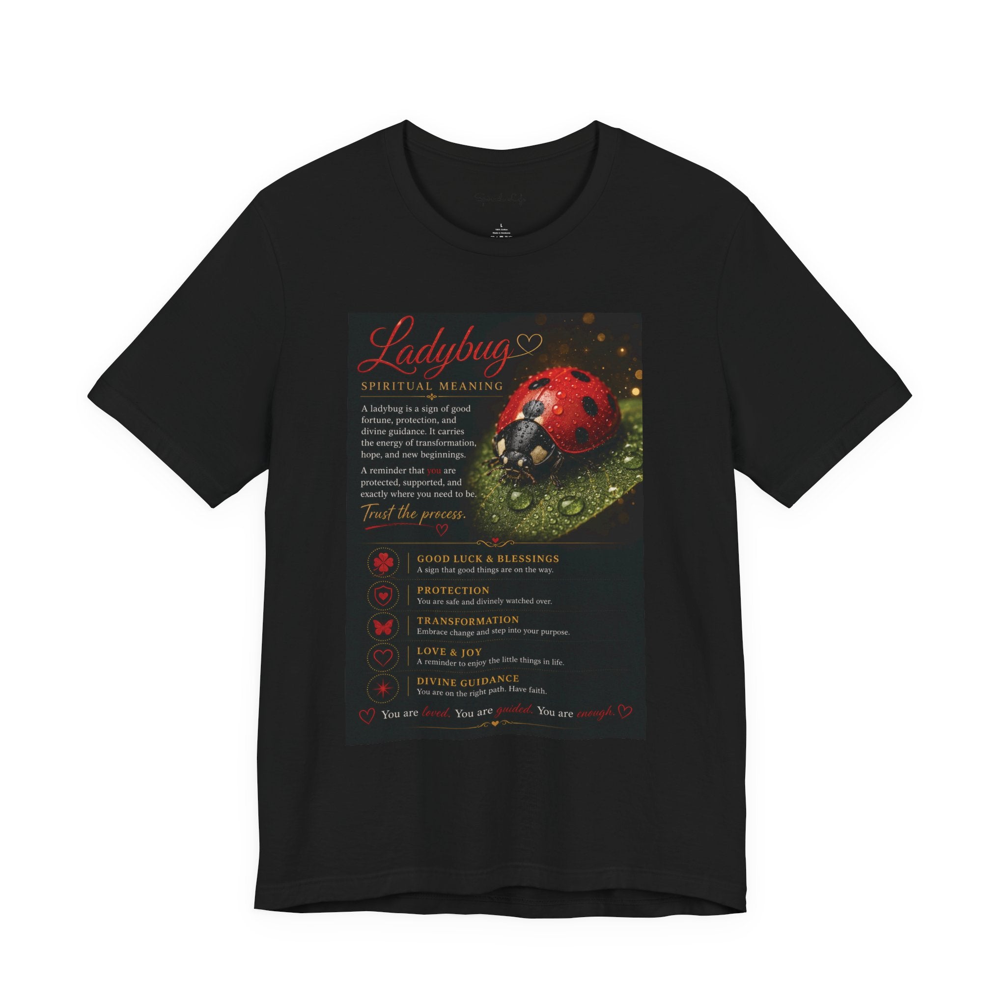 Ladybug Spiritual Meaning Tee — 'Divine Alignment' Inspirational Graphic T-Shirt