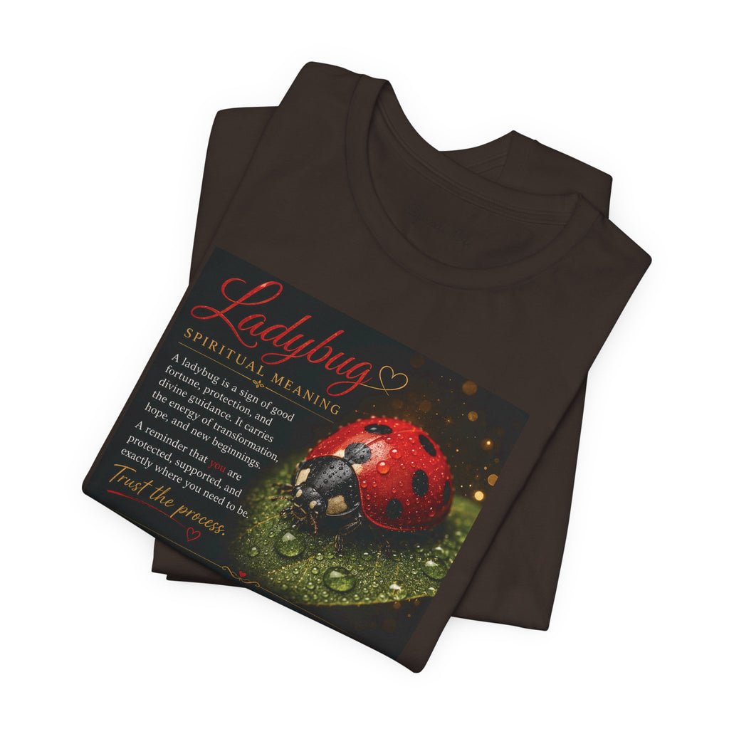 Ladybug Spiritual Meaning Tee — 'Divine Alignment' Inspirational Graphic T-Shirt